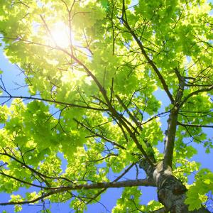 让所有人看着他操
