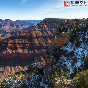 让所有人看着他操
